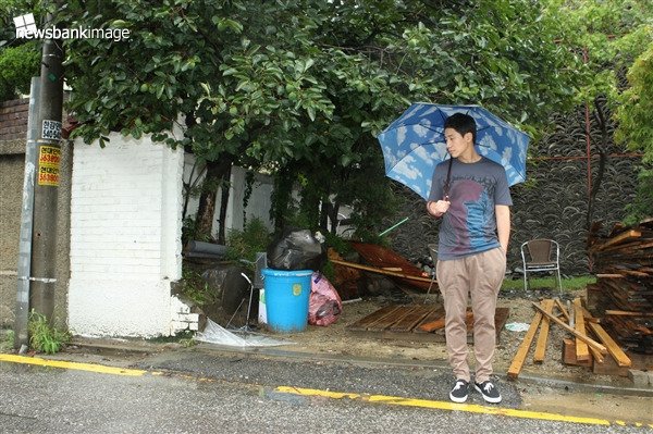 잡식과 tweet media