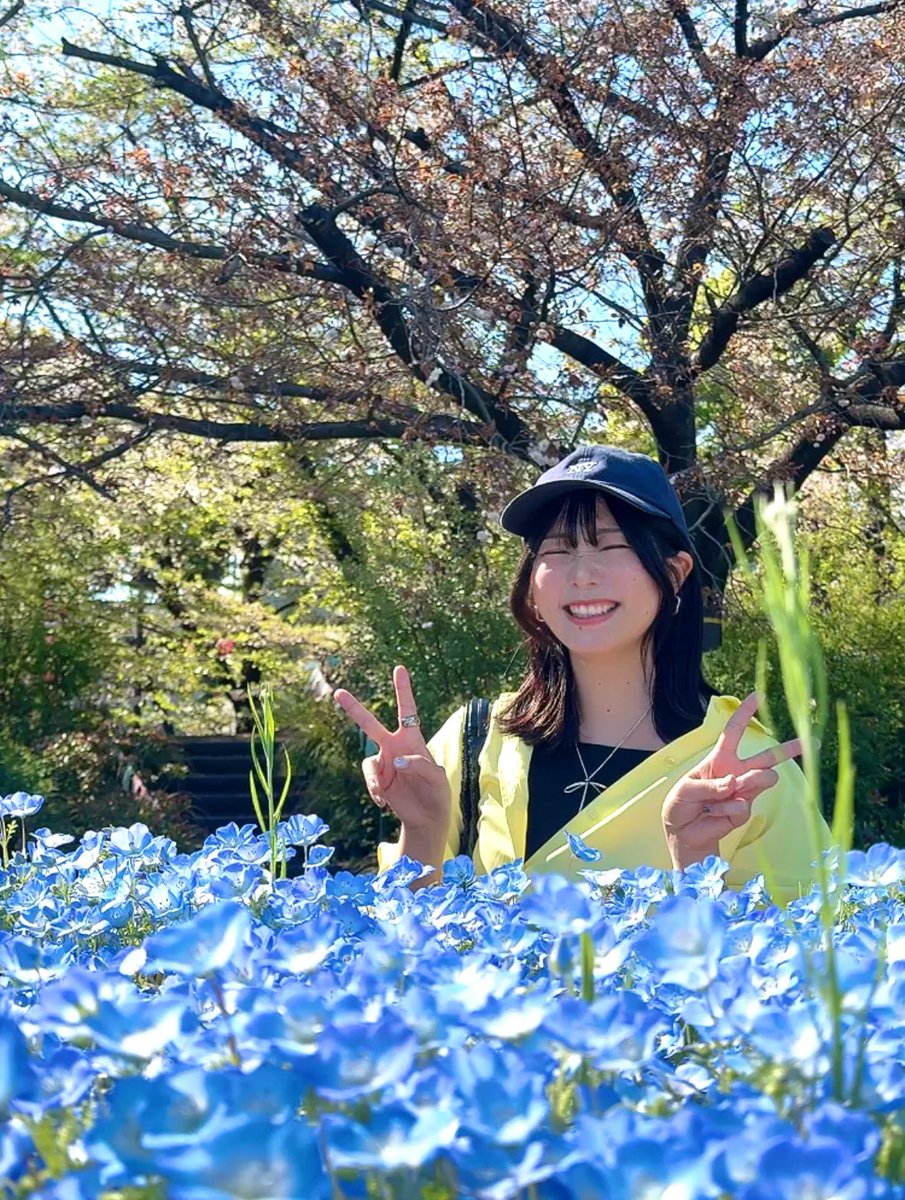 島田愛野 tweet media