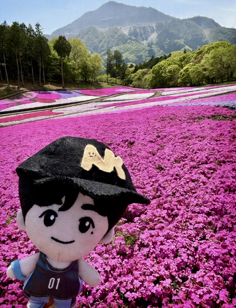 みーちゃん tweet media