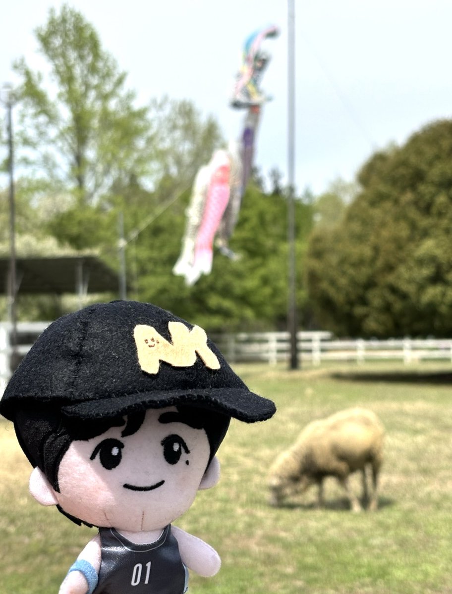 みーちゃん tweet media