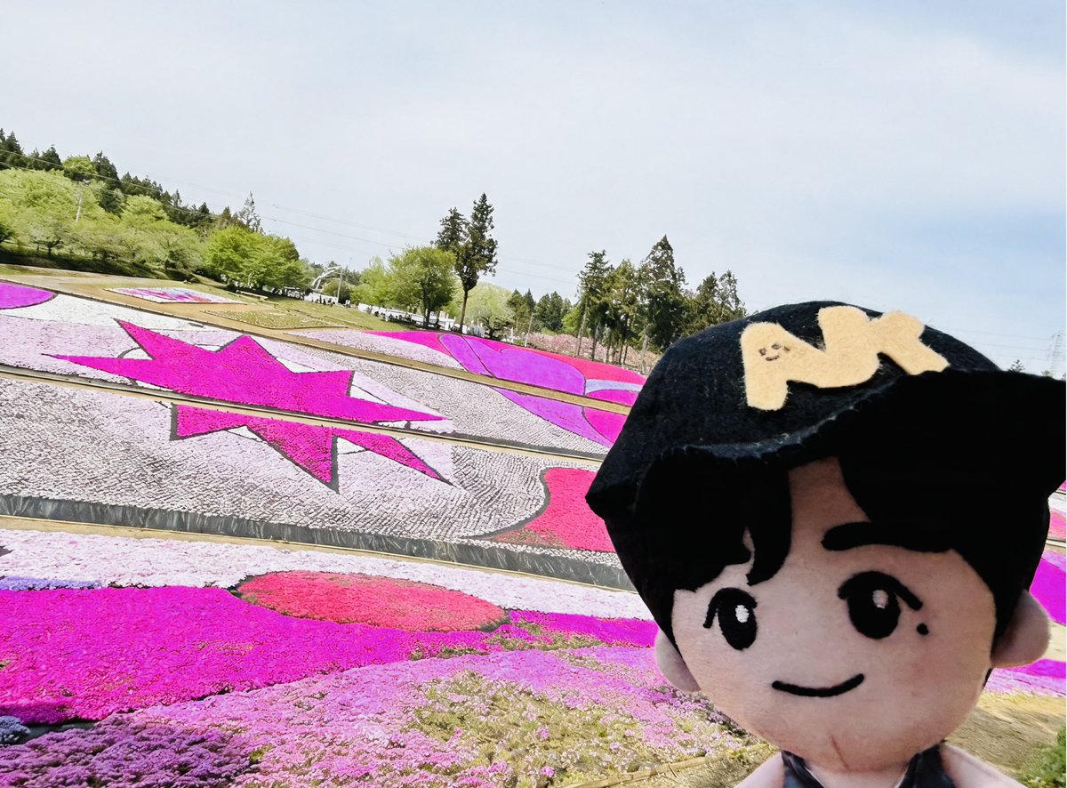 みーちゃん tweet media