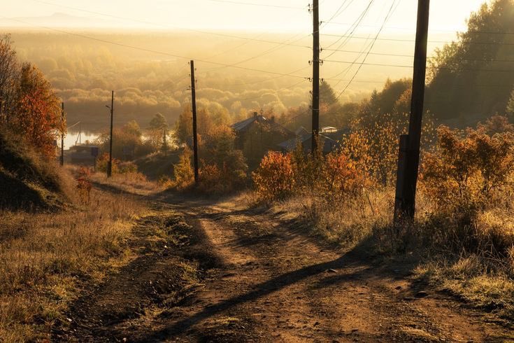 mika ৻ꪆ ( 2 / 10kg ) tweet media