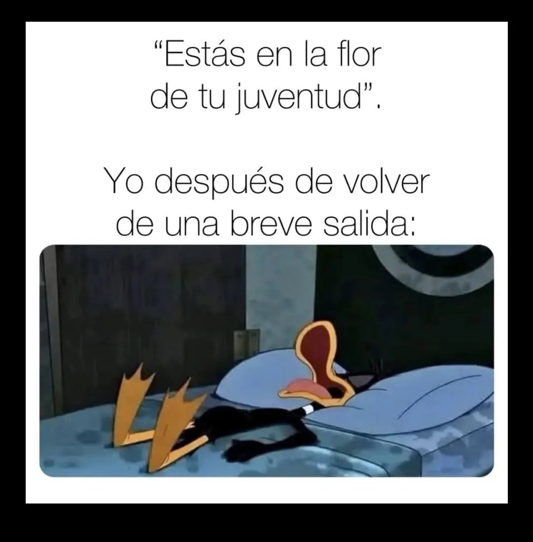 Rincón Curioso tweet media