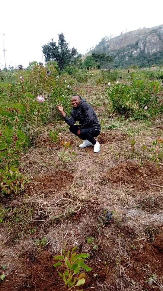 cde_frank's tweet photo. Glad the markets are opening up again,there was a time when protea flowers from Zimbabwe were "sanctioned" but still the local markets where good to us...
Vumba Heights mountain backdrop..
They Call it Vumba we call it Home
#Vumba https://t.co/3D8tkND2pC