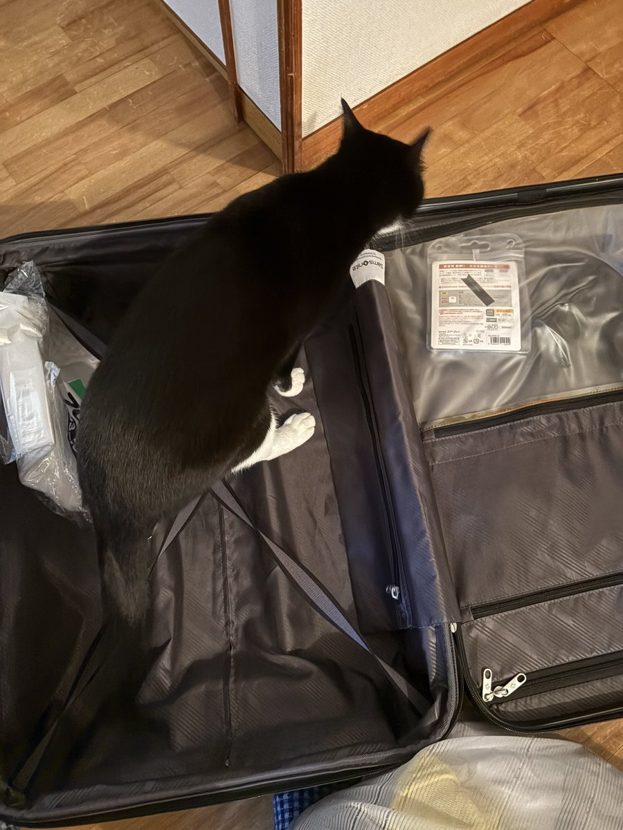 NASDAQは迅悠一@NBA tweet media