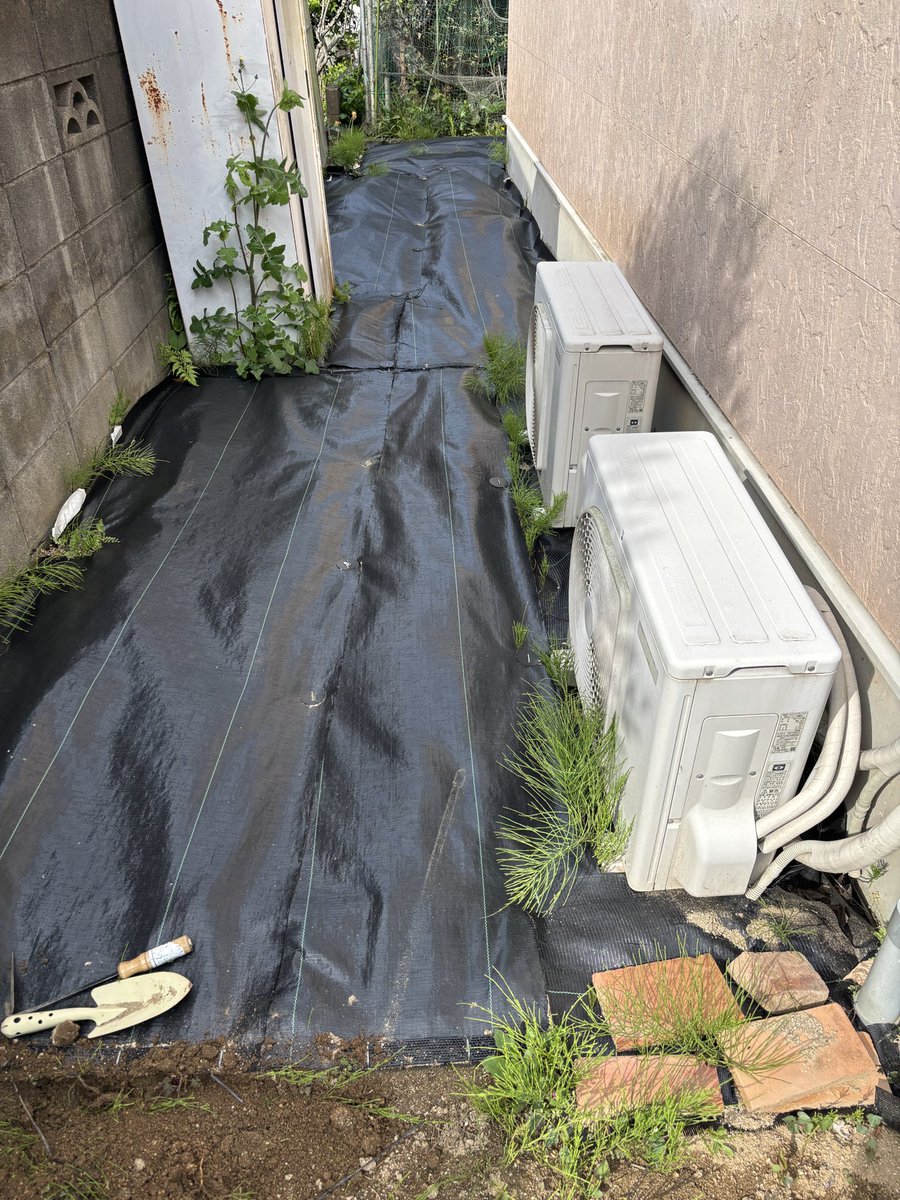 タカ☆YouTuber tweet media