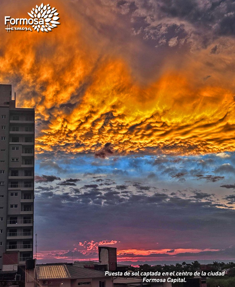 PoliciaFormosa's tweet photo. 📷Fotografía 📷Colores únicos de nuestra naturaleza. Atardecer captado en zona céntrica de nuestra ciudad. Formosa capital.
Gracias Luján, seguidora de nuestras redes sociales, por compartir esta fotografía.
#FormosaHermosa #POLICIADEFORMOSA #SeguridadyDefensa https://t.co/fWS0lXr2aO