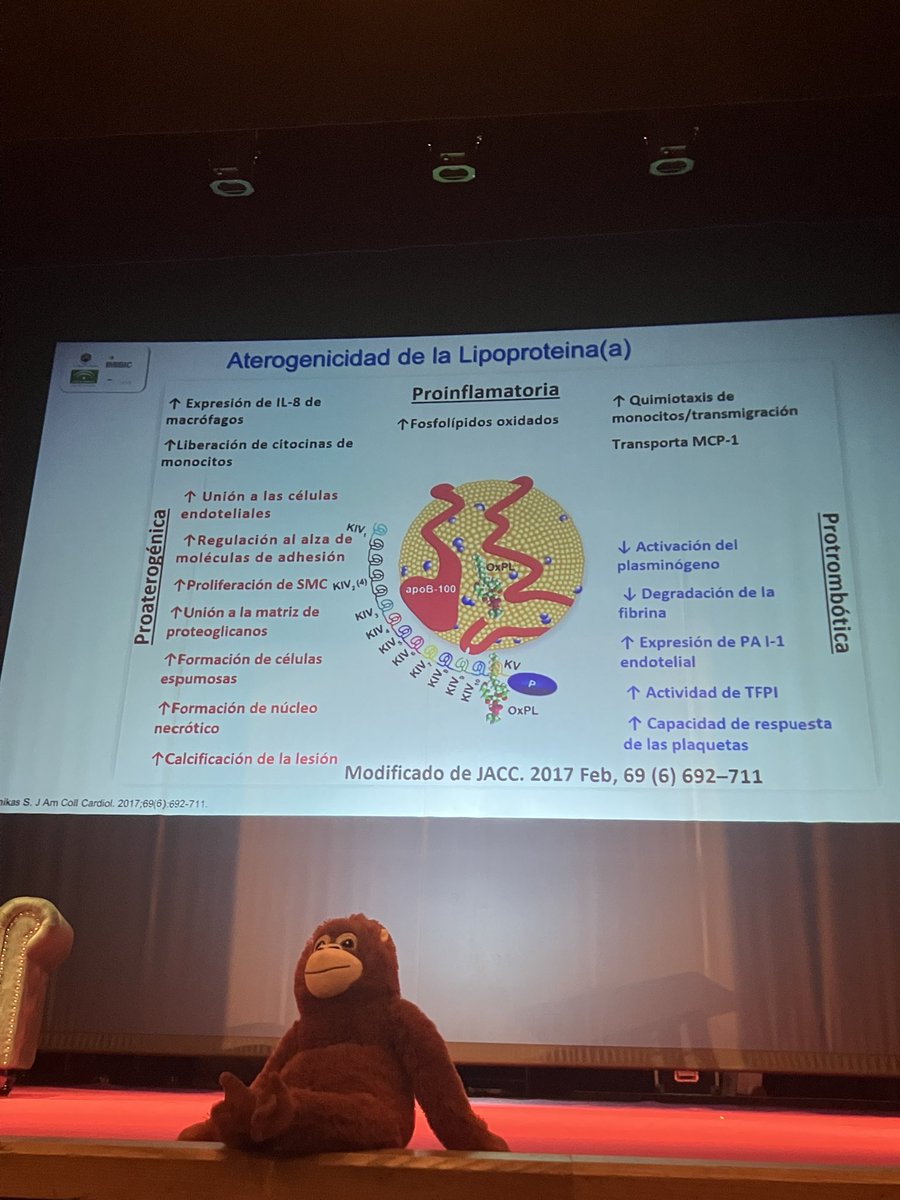 🧬 Conclusiones clave sobre la Lp(a) por el Dr José López Miranda #recardio26 <a href="/preventiva_SEC/">Cardiología Preventiva</a> 

1️⃣ Es 6 veces más aterogénica que el LDL.
2️⃣ El 90% está determinada genéticamente.
3️⃣ Su síntesis es hepática y depende casi exclusivamente de la tasa de producción.
4️⃣ Trastorno