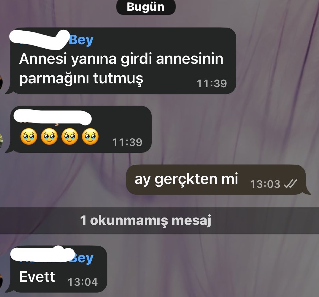 çitlembik zeyno tweet media