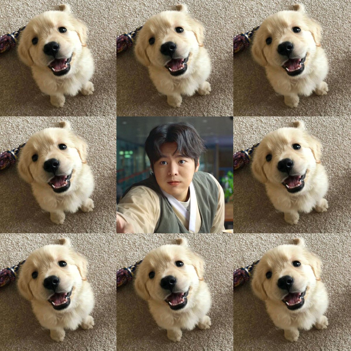 seongje shady facts tweet media