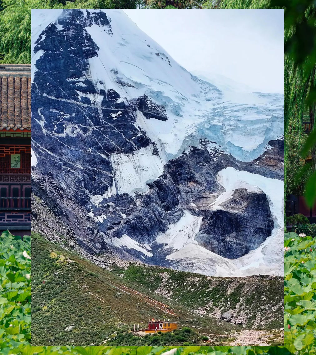 Shay Payne tweet media