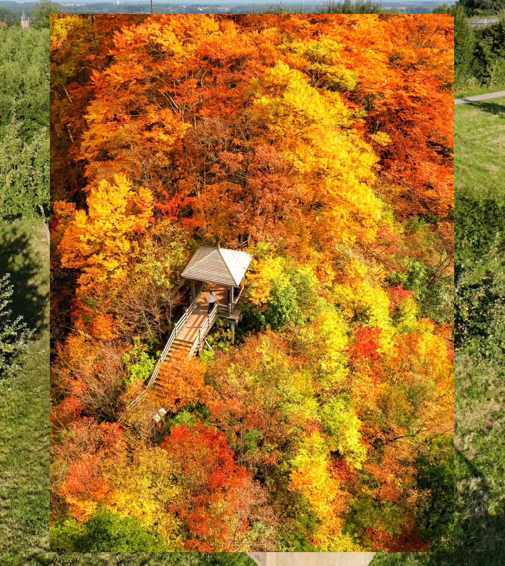 Gregory Trotter tweet media