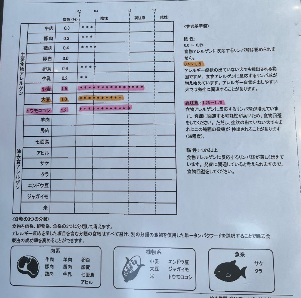 もぐ太郎 tweet media