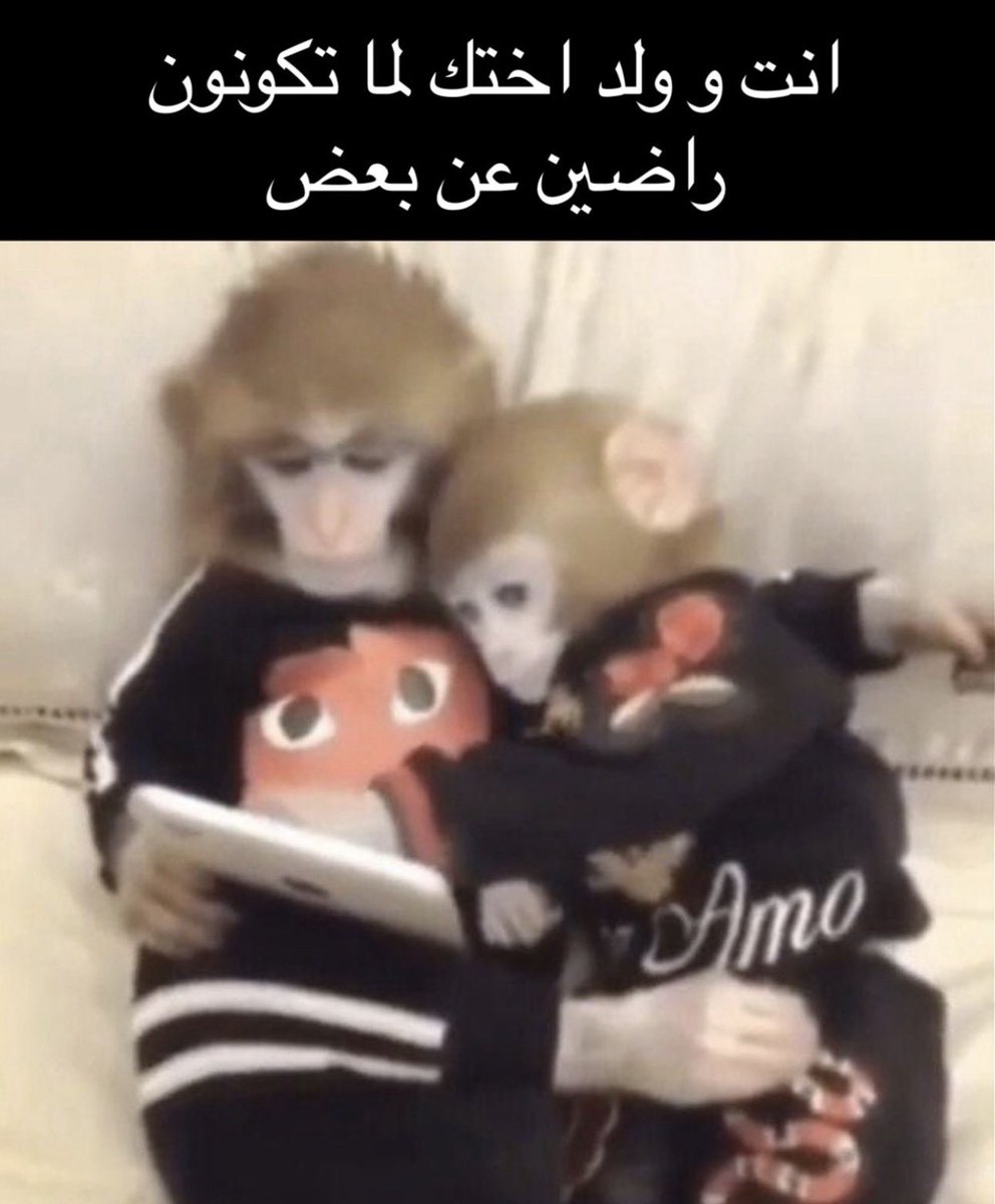 منصور (@i14nn) on Twitter photo 