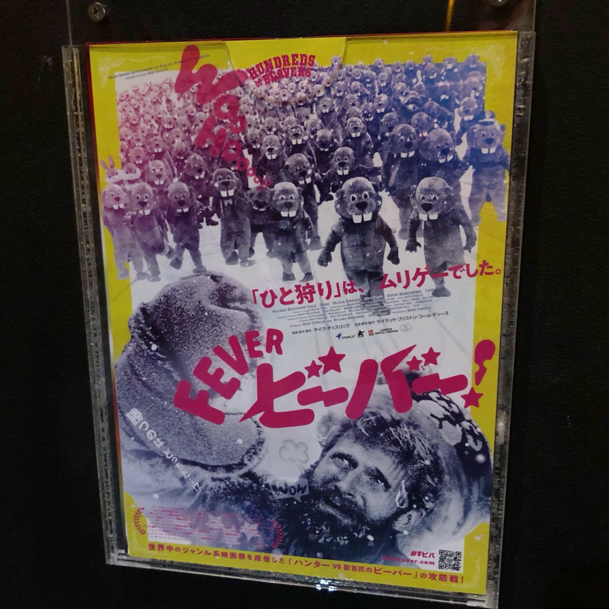 solarglider's tweet photo. 今日はユナイテッド・シネマ幕張で『#FEVERビーバー!』を鑑賞してきた!劇場公開決定前からビデマさんでの評判により気になっていた作品で、入場者特典が発表されたので慌てて初日鑑賞。きちんとした感想は後日として、期待に違わぬお腹捩れる大傑作!輸入盤欲しくなってしまった。#HundredsOfBeavers https://t.co/AIS2ptTd0m