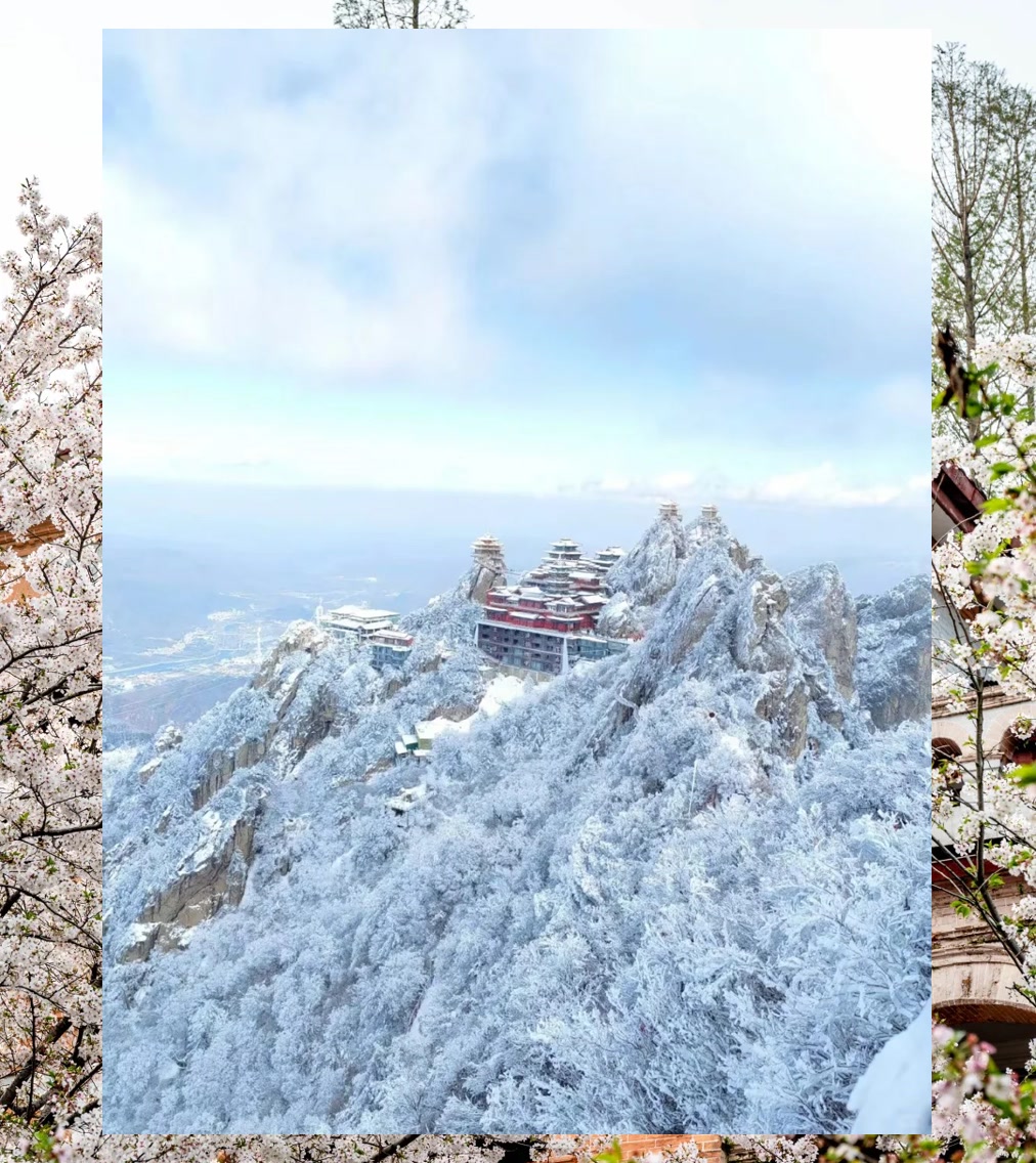 Daniel Becerra tweet media