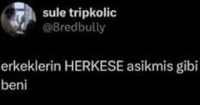 admihan tweet media