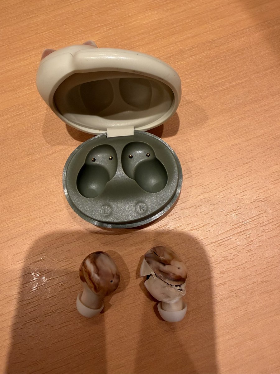 ネコのを tweet media