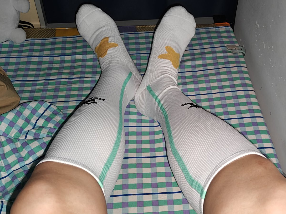 薄荷巧克力小猫🐱 tweet media