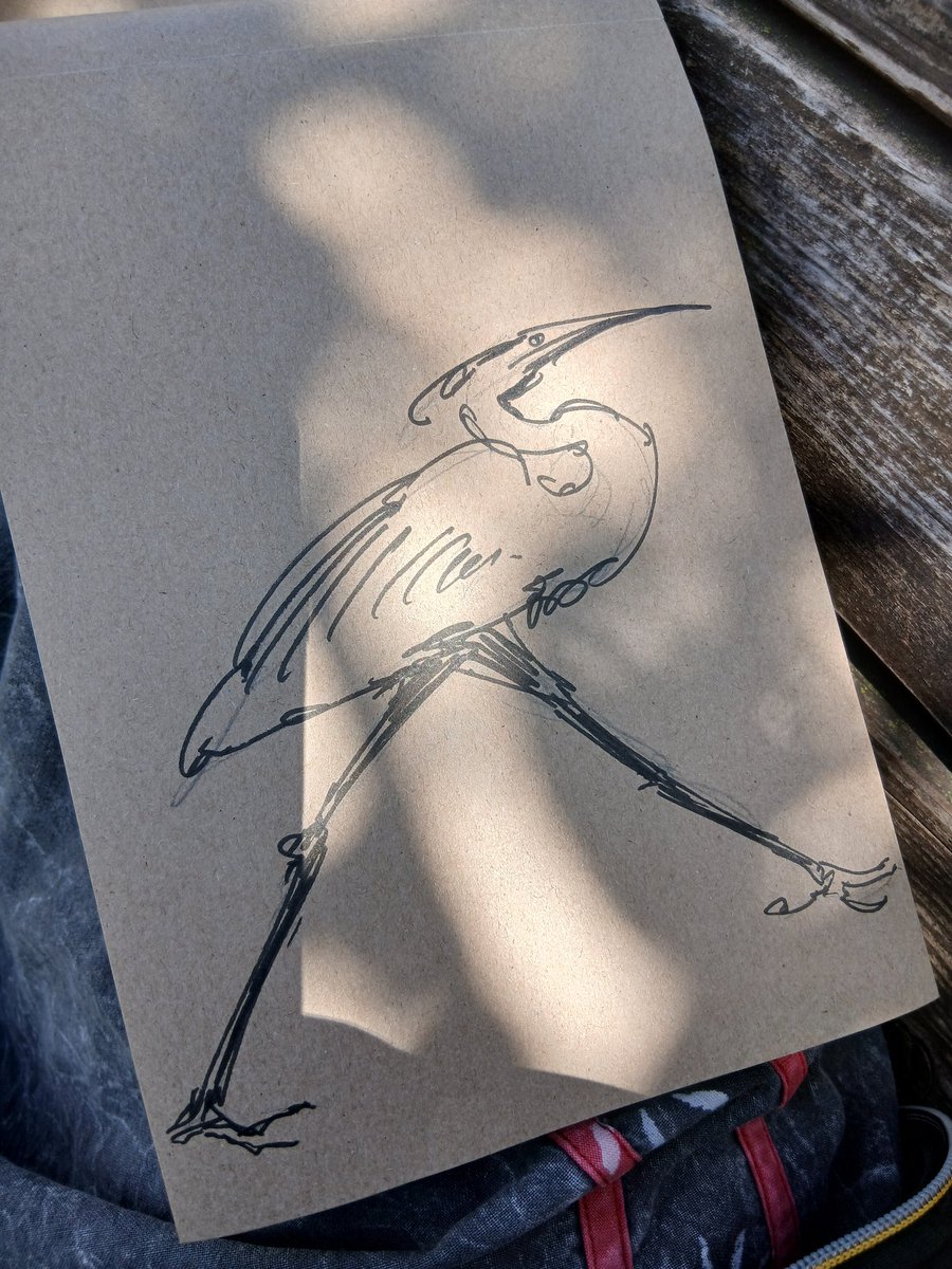 Дфлова чапля