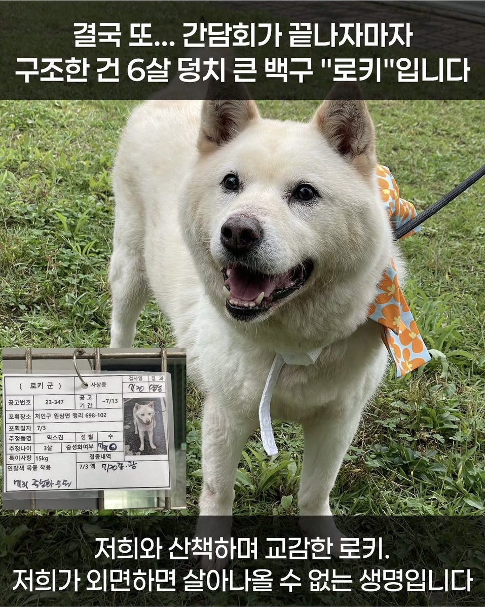 🐻순실 임보중🌿 tweet media