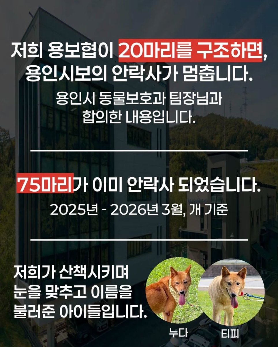 🐻순실 임보중🌿 tweet media