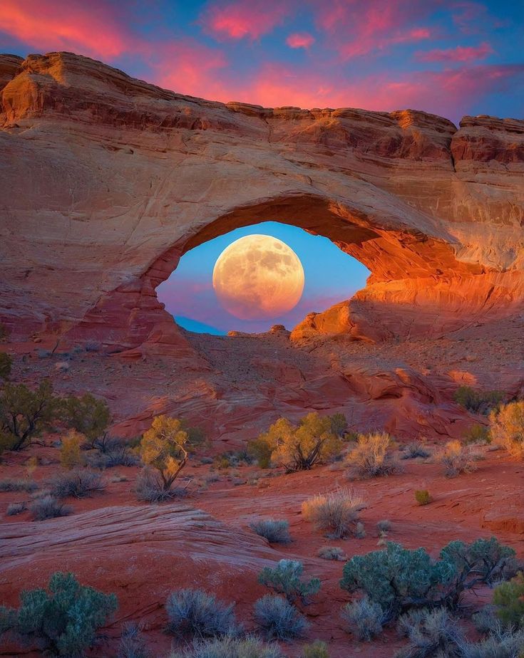 N A T U R E tweet media