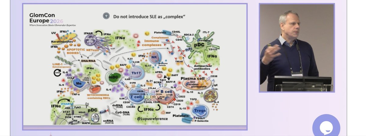 Mohamed Hassanein 🇪🇬 محمد حسنين tweet media