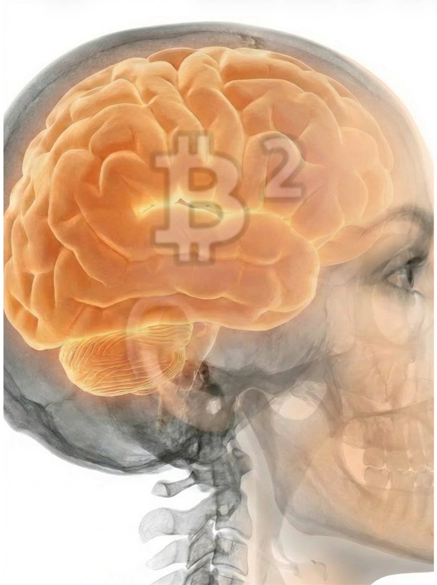 B² Network | Scaling Bitcoin tweet media