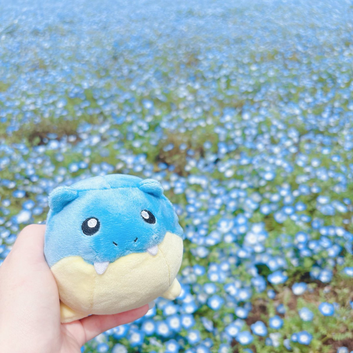 はる🌤 tweet media