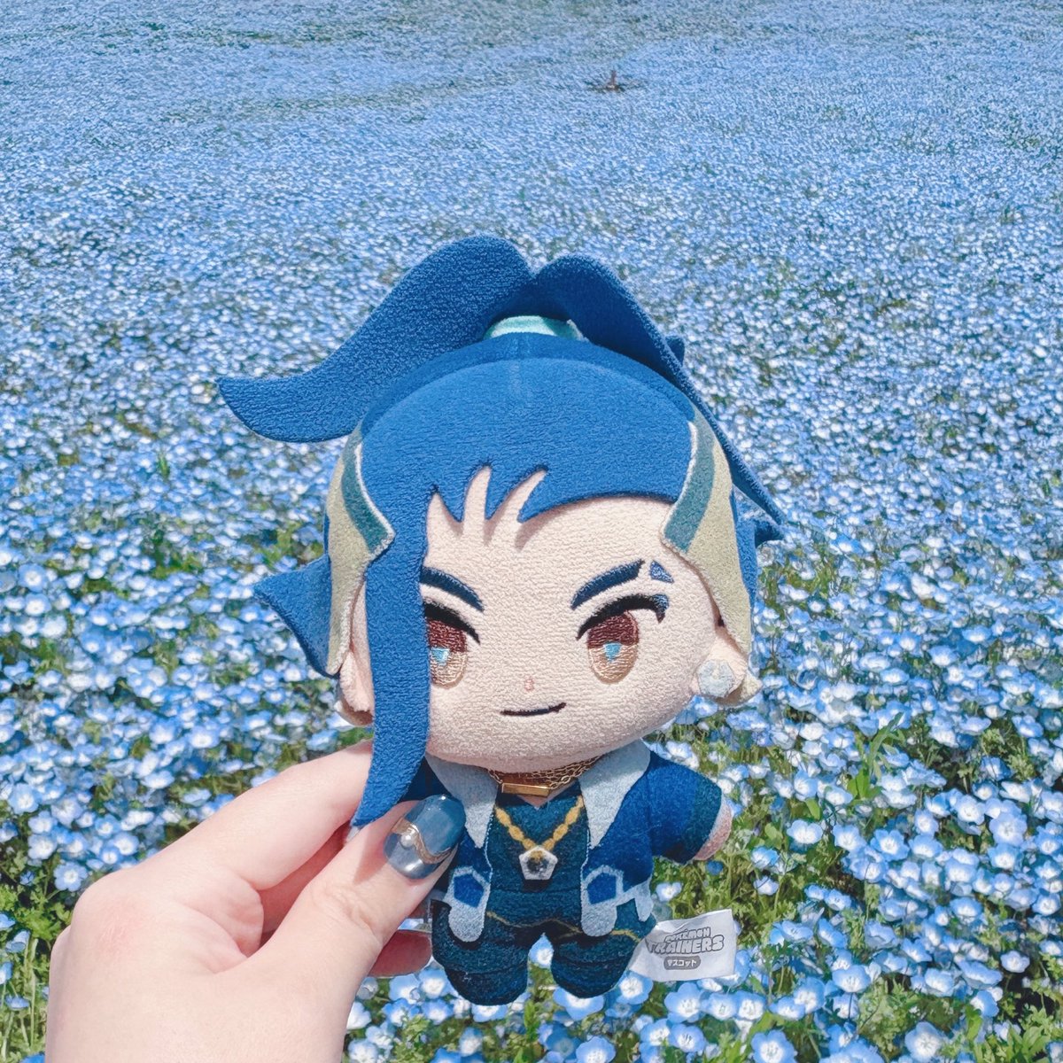 はる🌤 tweet media