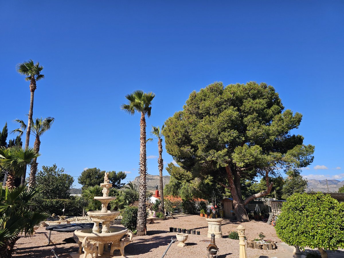 SpanglishBloke's tweet image. El miércoles no se observó ni una sola estela de condensación persistente, a pesar de que cientos de aviones estaban en el cielo; ahora, el viernes, comienza de nuevo el implacable envenenamiento de la atmósfera. #Geoengineering #ChemicalWarfare #ClimateHoax @AEMET_Esp #WEF2030