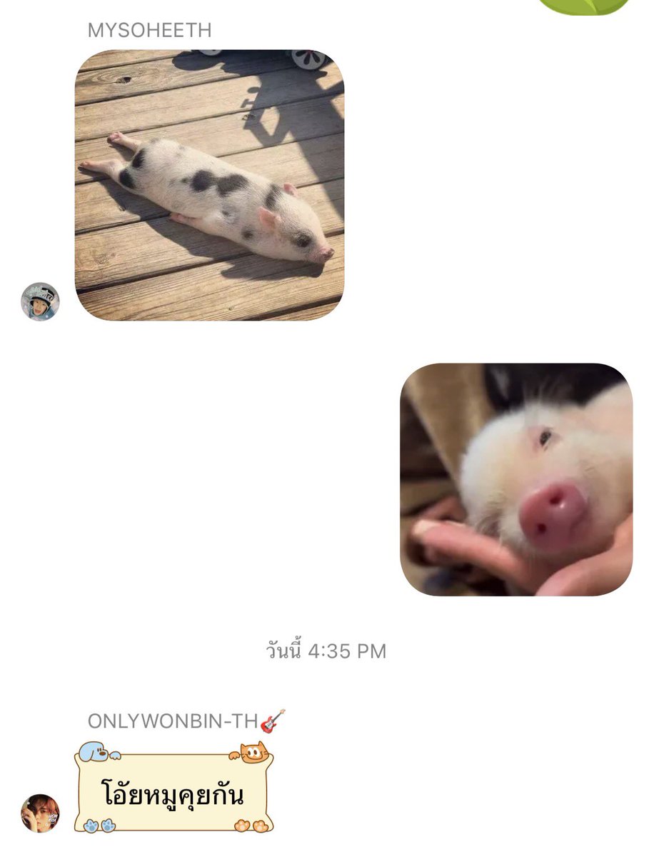 MYANTON THAILAND tweet media