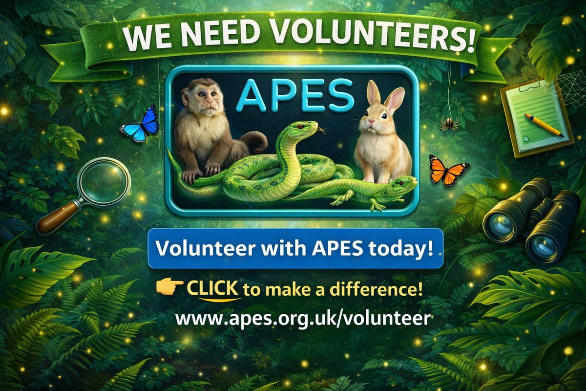 APES Pet Shop (@apespetshop) / Posts / X