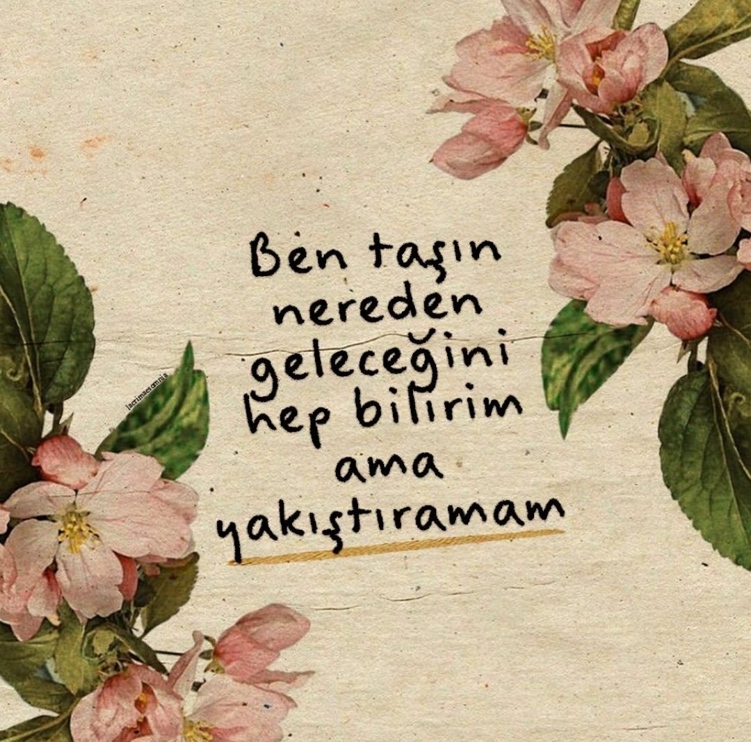 lacrimaesomnia's tweet photo. https://t.co/OaIisApDnr