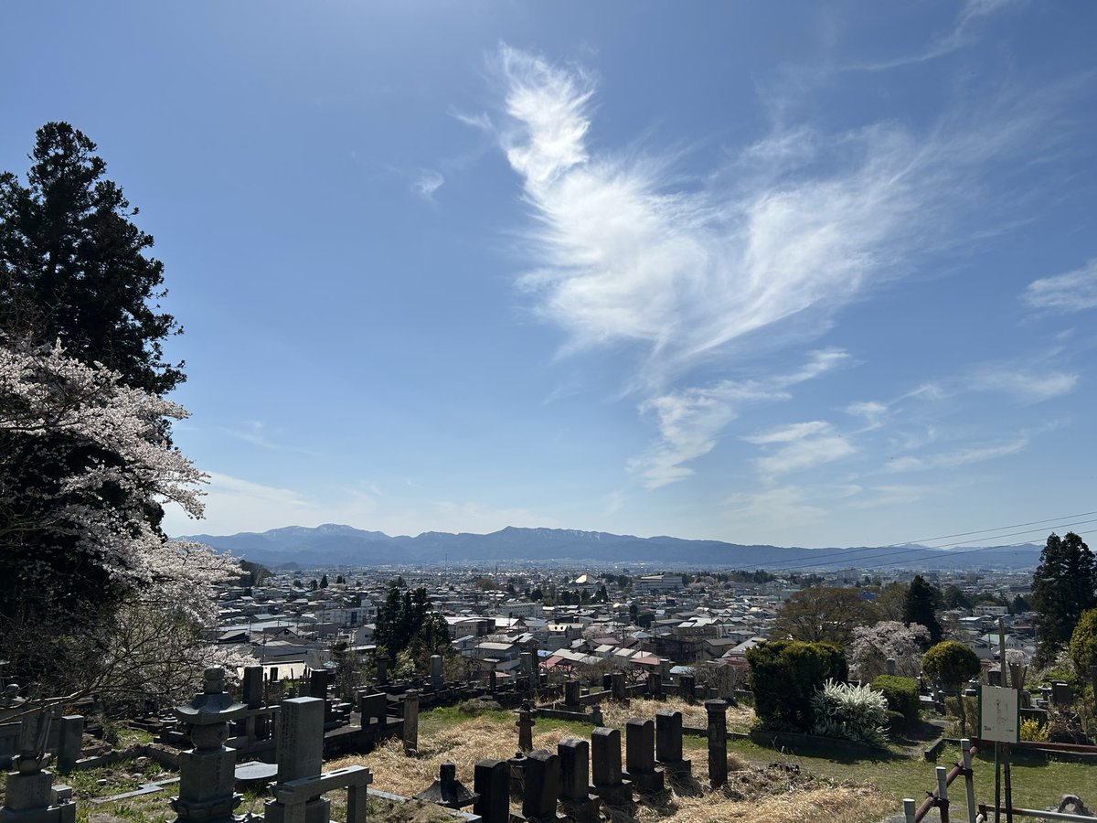 ガチムチ tweet media