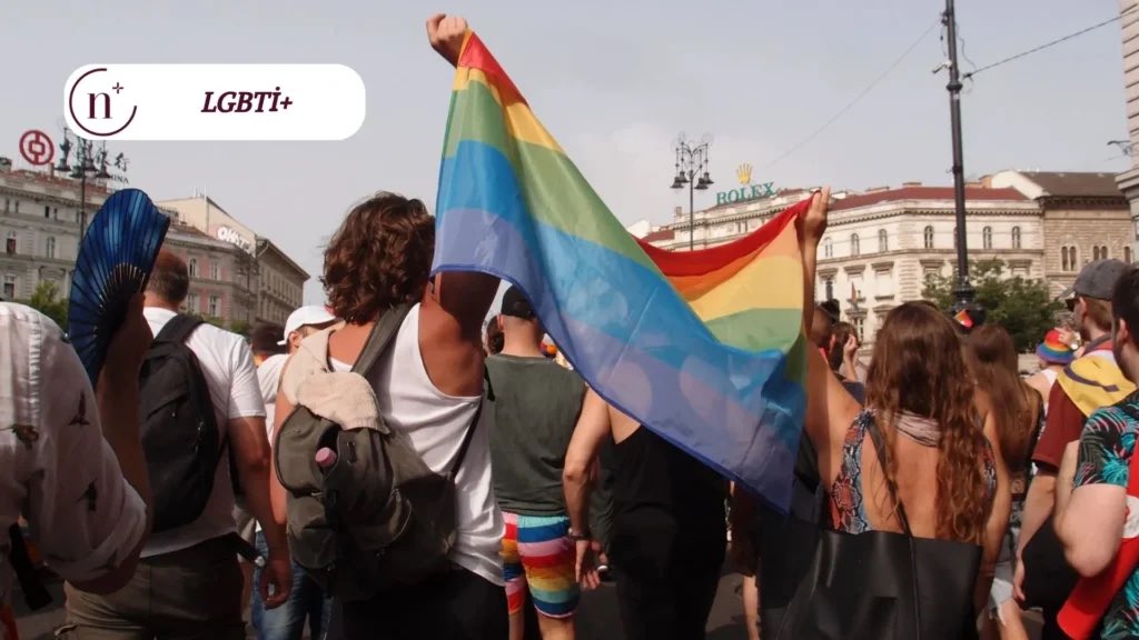 Nihaplus tweet media