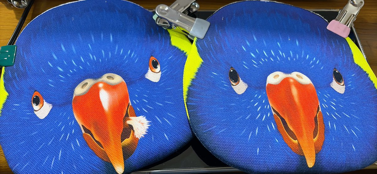 うちのインコズ tweet media