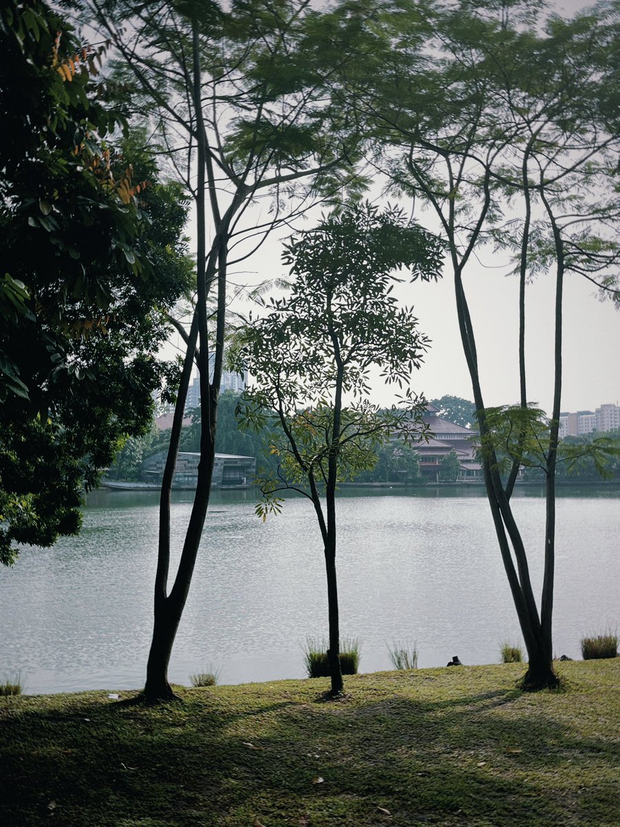 𝑌𝑜𝑢𝑟𝑠, ꦣꦼꦮ꦳ꦶꦤ. tweet media