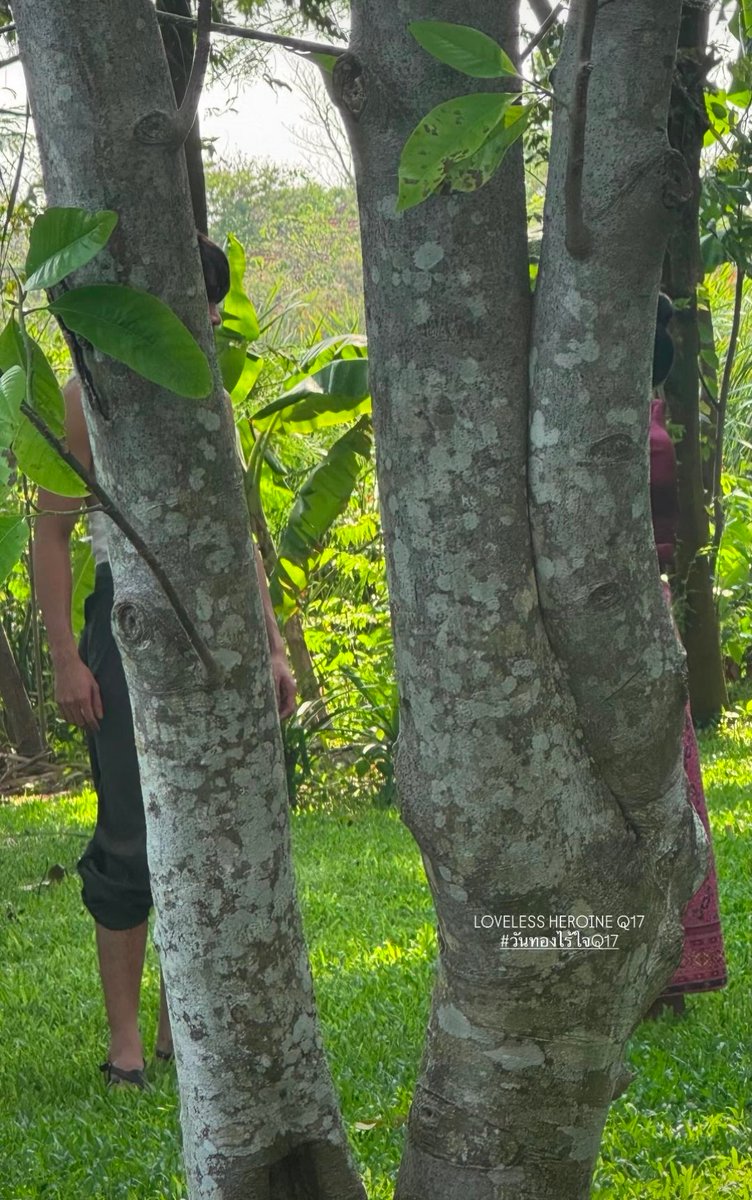 JOONGDUNK SUPPORT TREND 1.0 tweet media