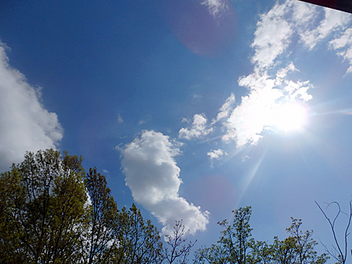 こども生活クラブ tweet media