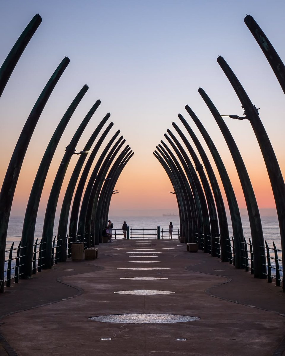 South African Tourism tweet media