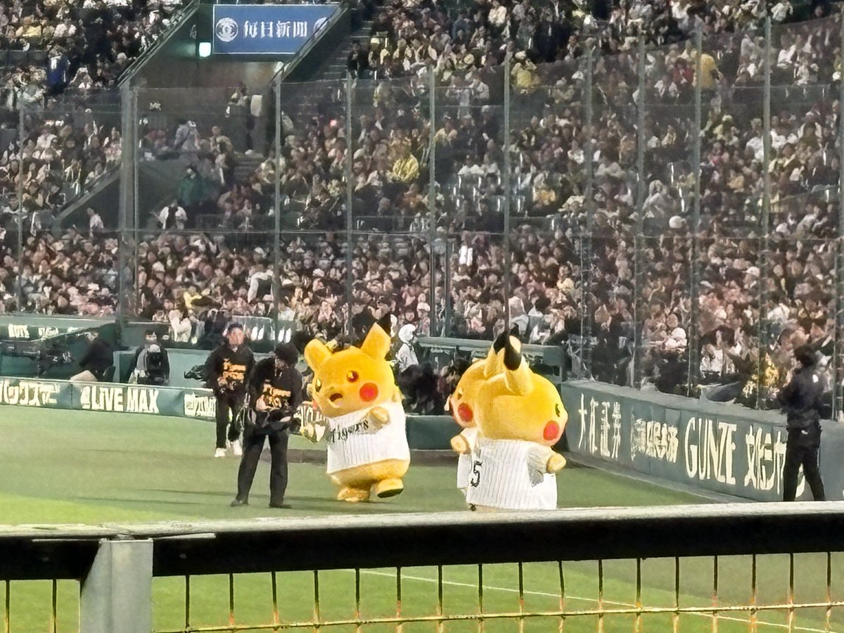 犬食べ食べ tweet media