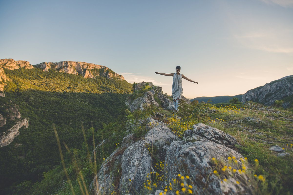 alain deschamps tweet media