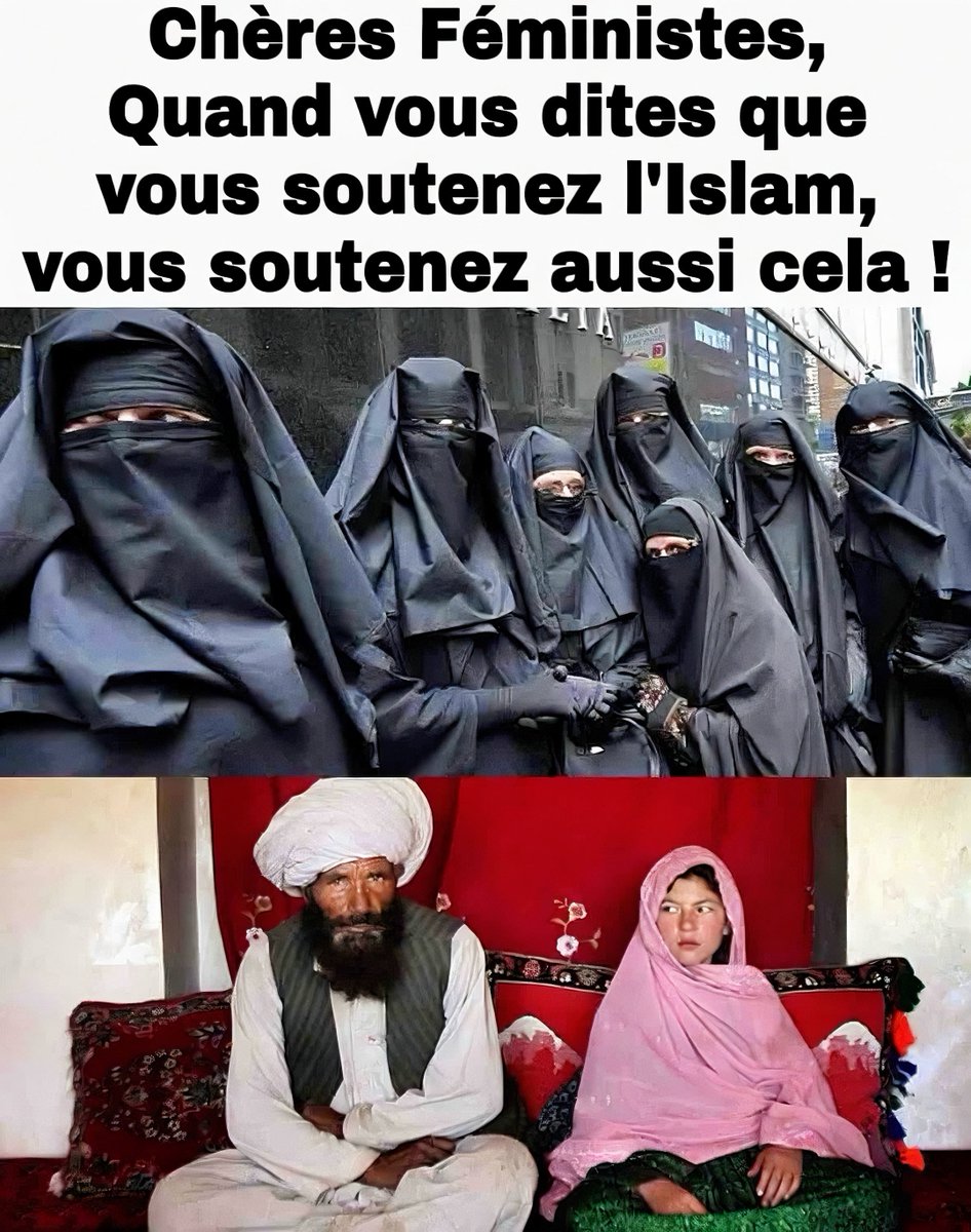 Vivi-Apostat tweet media