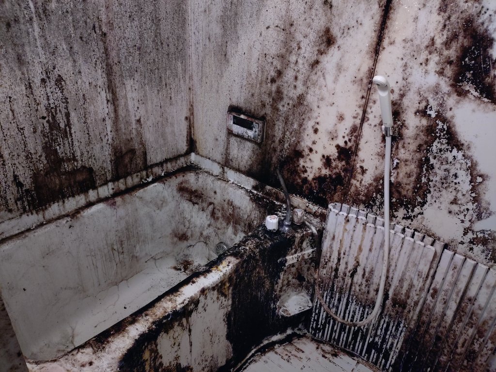 せん@汚部屋ネキ tweet media