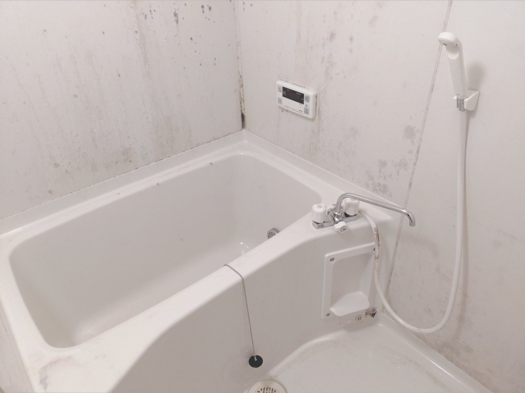 せん@汚部屋ネキ tweet media