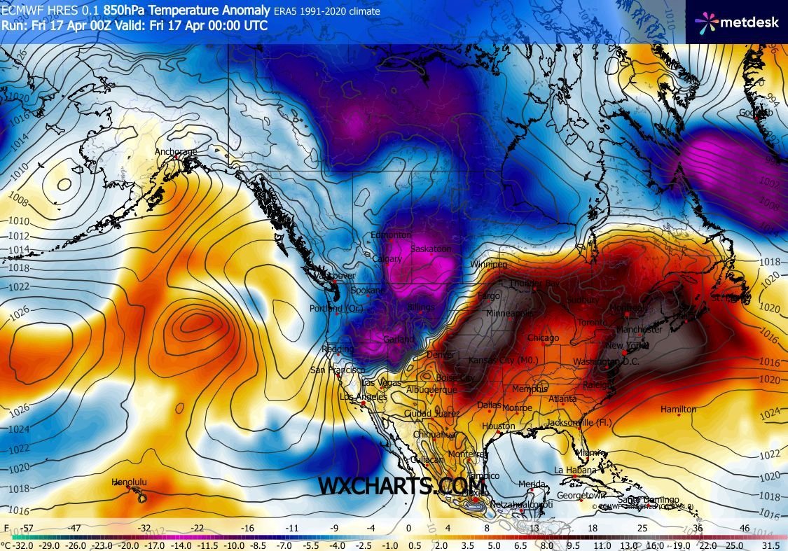 Fred Blogs mac. tweet media
