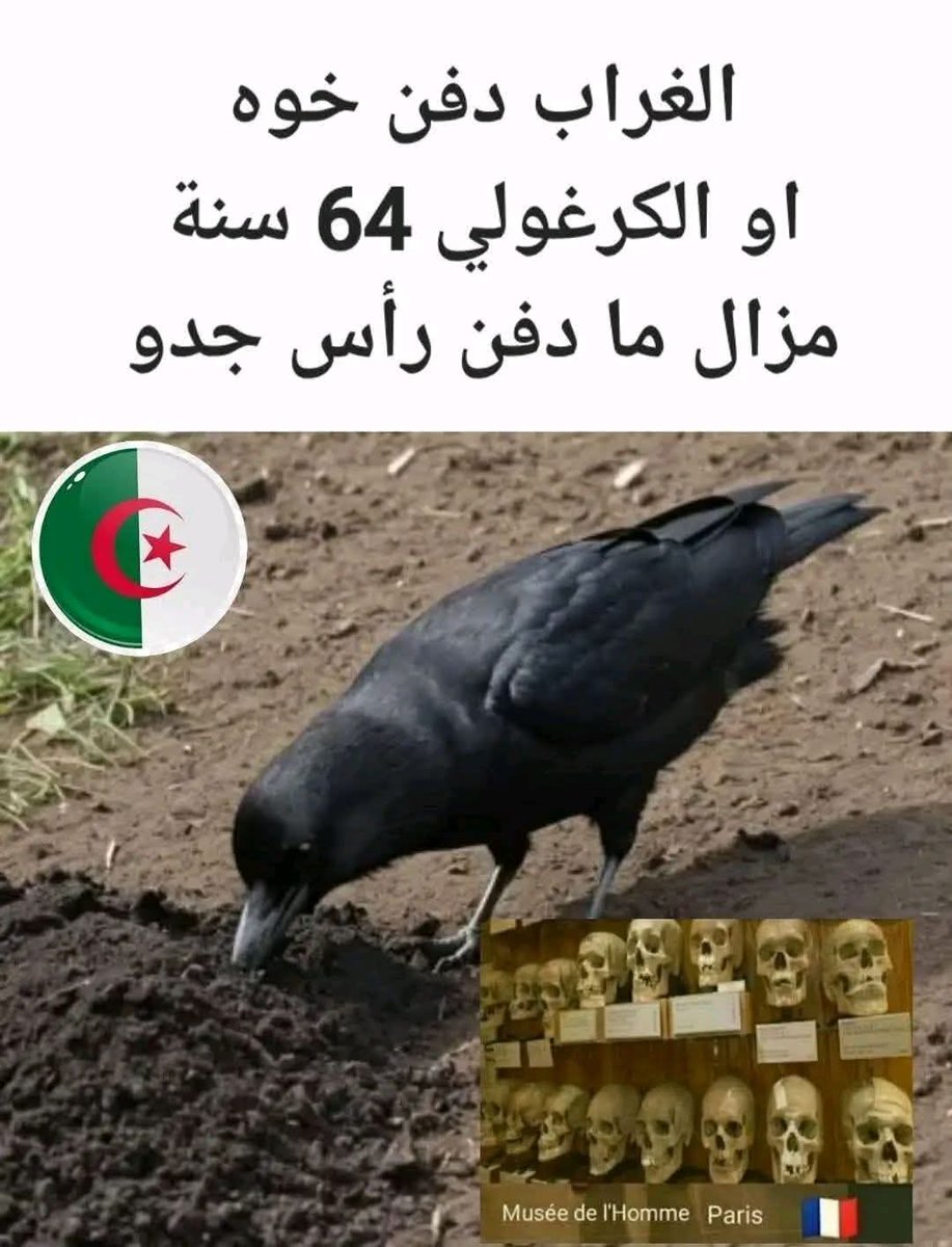 asmae daouss🇫🇷+ 🇲🇦اسماء الضوس ⭐️⭐️ tweet media