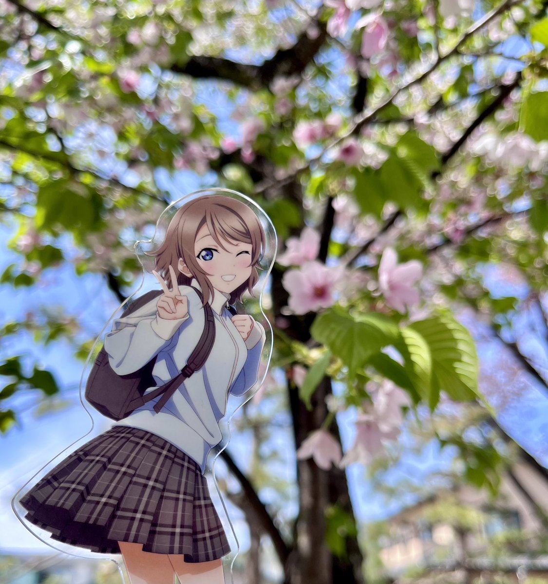 しももめ⛵️ tweet media